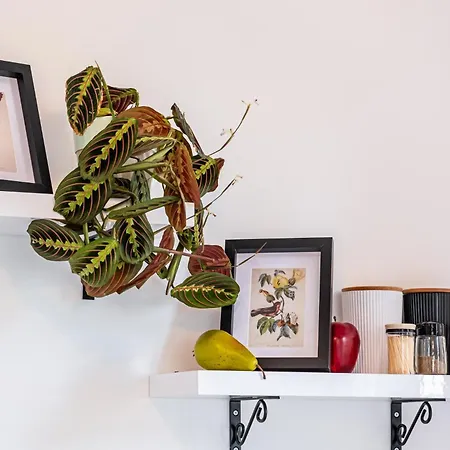 Bella 2br Apartment *